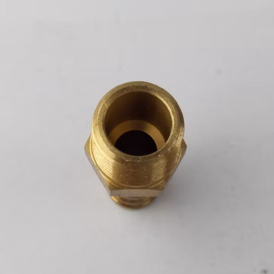 Pièces d'usinage de tour CNC de rechange de machine de découpe standard/personnalisation en laiton titane